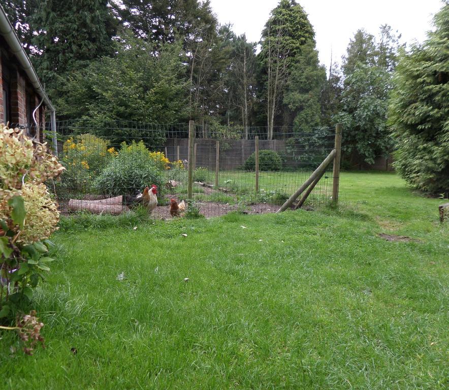 Villa Bijenhof Varsenare Rom bilde