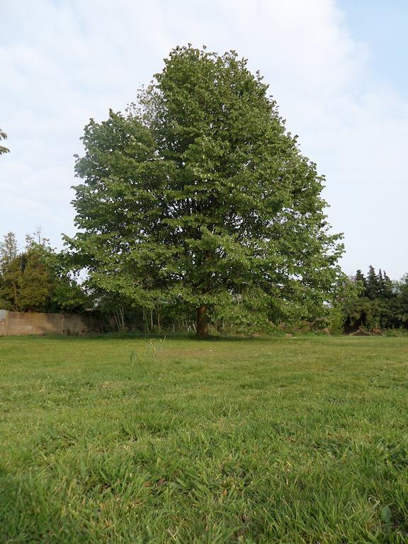 Villa Bijenhof Varsenare Rom bilde